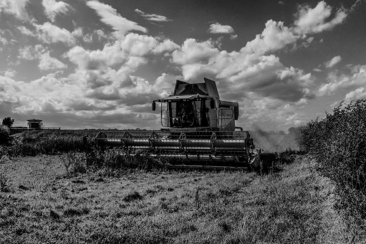 ApertureF2's tweet image. Just ahead of the storm. Harvesting in the Yorkshire Wolds.