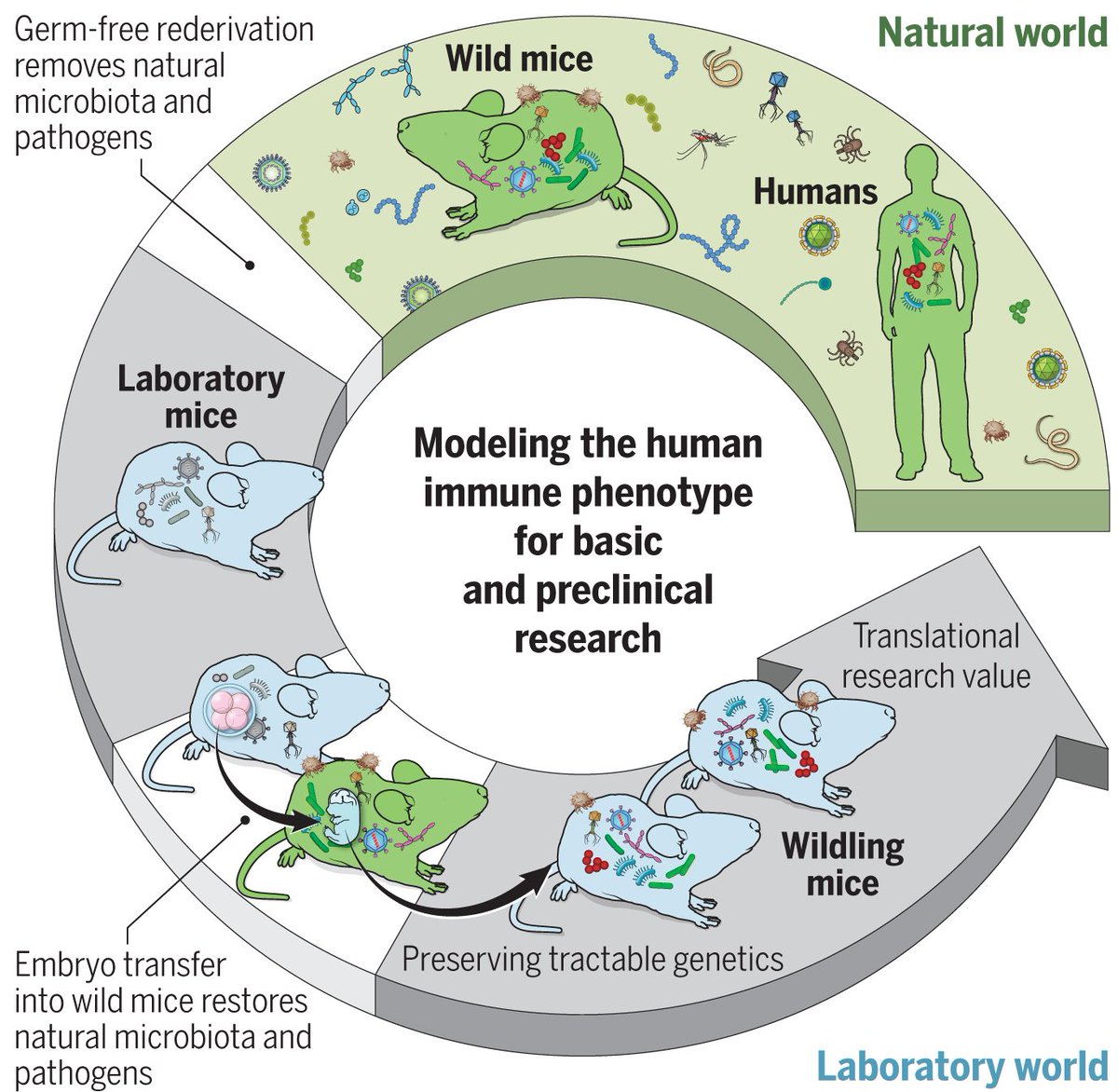 pdf le biotecnologie