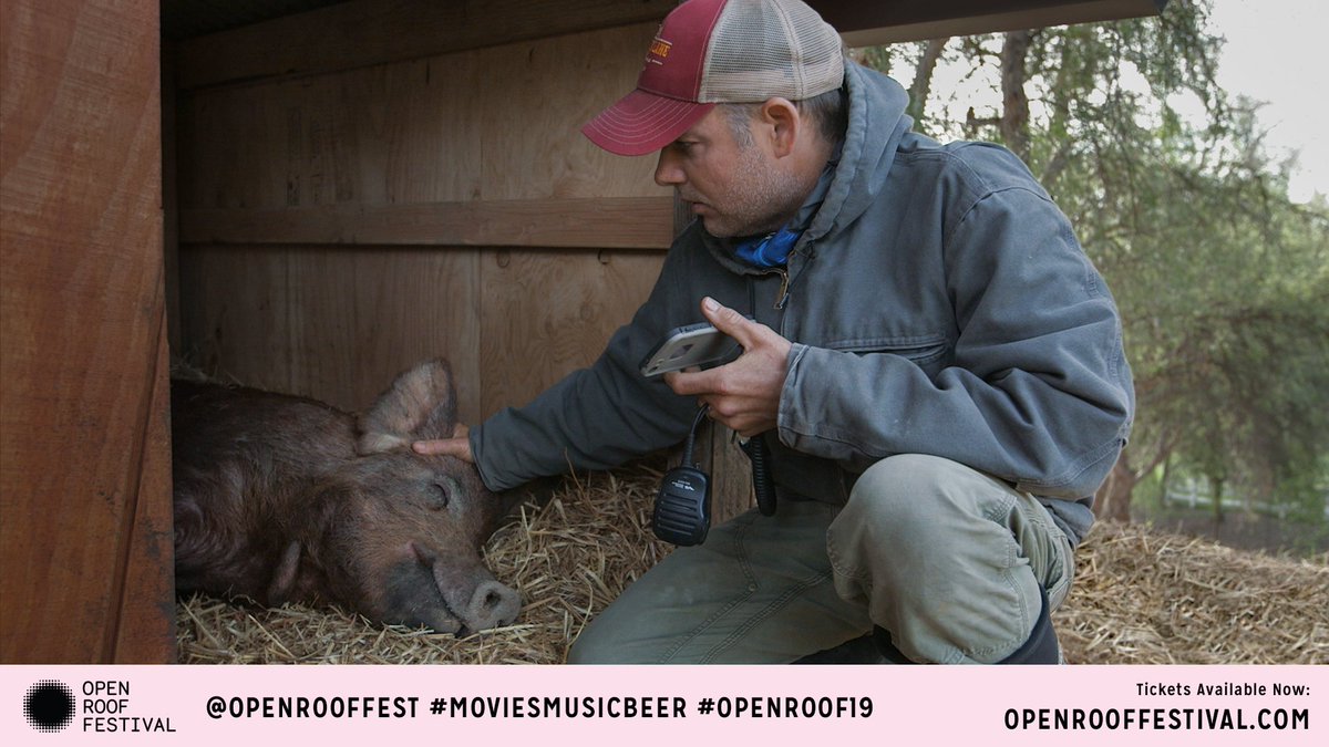Hot Docs (@hotdocs) on Twitter photo Missed <a href="/BiggestLilFarm/">The Biggest Little Farm</a> at <a href="/HotDocsCinema/">Hot Docs Cinema</a>? See it at <a href="/OpenRoofFest/">Open Roof Festival</a> tomorrow night! We've got 2 pairs of tickets to give away—all you have to do is comment below with an emoji of your favourite farm animal 💚🐎🐄🐖🐑🐥🐐
More screening details here: ow.ly/1qKj30pj5D0 Missed <a href="/BiggestLilFarm/">The Biggest Little Farm</a> at <a href="/HotDocsCinema/">Hot Docs Cinema</a>? See it at <a href="/OpenRoofFest/">Open Roof Festival</a> tomorrow night! We've got 2 pairs of tickets to give away—all you have to do is comment below with an emoji of your favourite farm animal 💚🐎🐄🐖🐑🐥🐐
More screening details here: ow.ly/1qKj30pj5D0