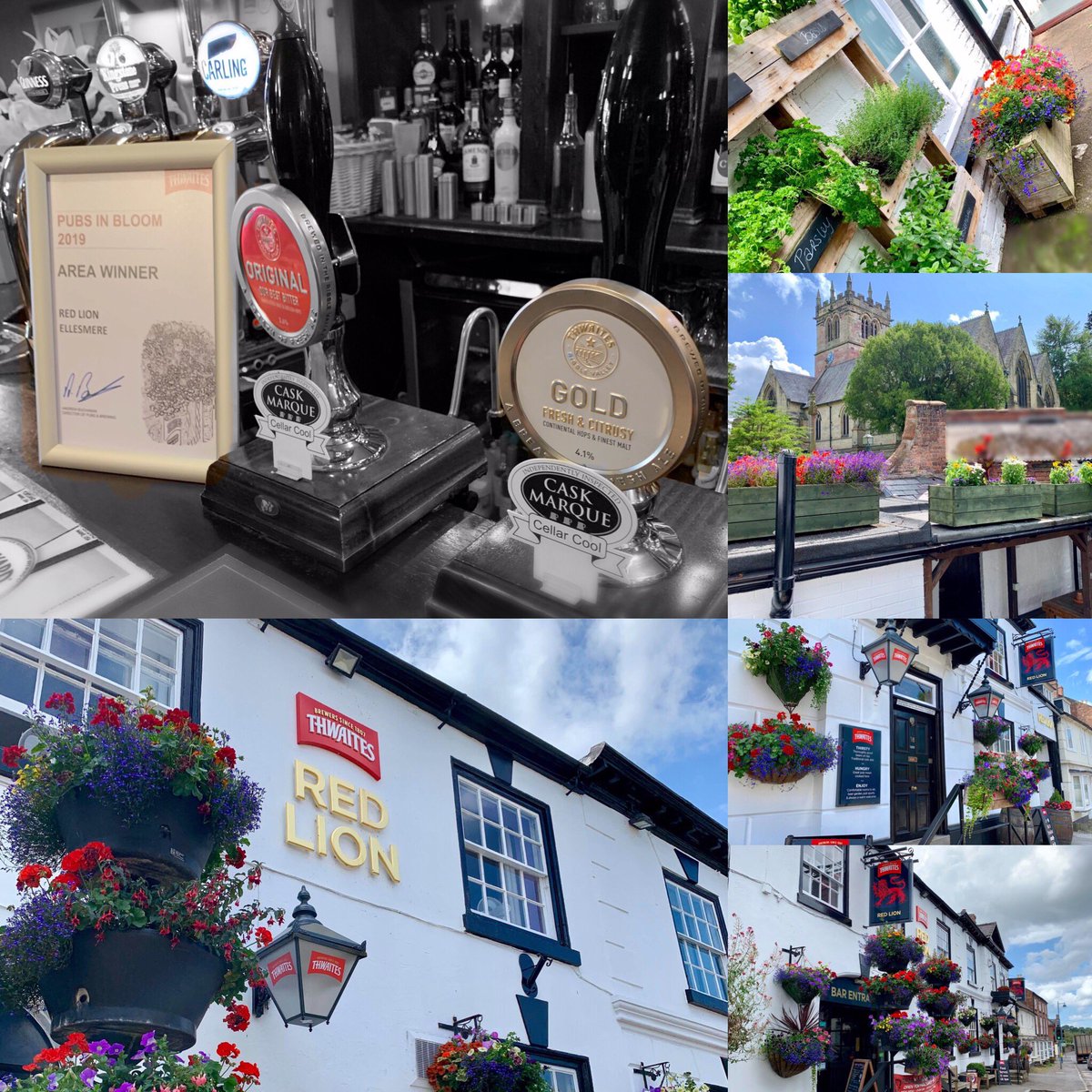 RedEllesmere's tweet photo. So, this happened yesterday...

Thwaites’ regional area winner for Pubs in Bloom 2019

Second time winners!!!

Thank you to Thwaites for the award and to our amazing friend Graham for applying a lot of love and care to creating such beautiful displays!

🏆🏵🏆🏵🏆 https://t.co/N41hGe9sLA