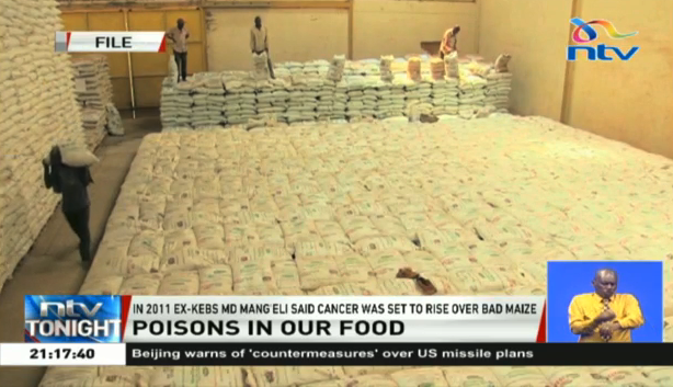 ntvkenya's tweet photo. Former KEBS boss the late Dr. Kioko Mang’eli at a parliamentary committee hearing in 2011 warned of a possible rise in the cases of cancer in years to come as a result of the consumption of maize imported in 2008 that high levels of aflatoxin.

#NTVTonight @zeynabIsmail https://t.co/V9D4N5YNCJ