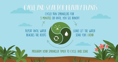 Two words: cycle and soak!

Run each irrigation zone multiple times for shorter lengths of time to add up to the total run time you want. This allows the water to soak in without runoff and improves the health of your grass! #waterwisely #smartwatering