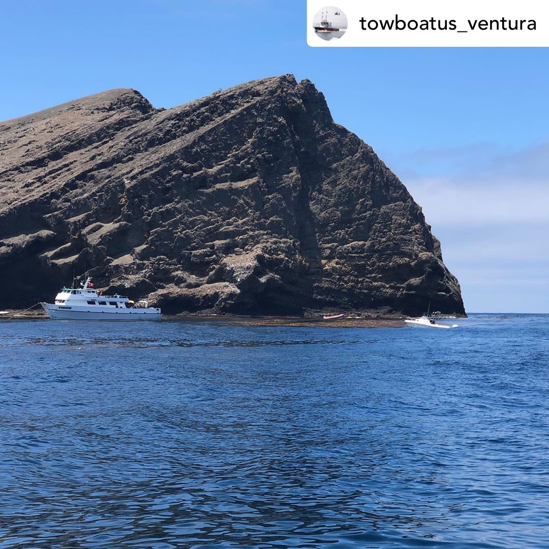 truthaquatics's tweet photo. Posted @withrepost • @towboatus_ventura “Friday morning, at 8:30am, a distress call was put out by a Good Samaritan vessel, Vision”
Thank you Vision crew for taking care of these stranded people! https://t.co/N4fkHZK3KD