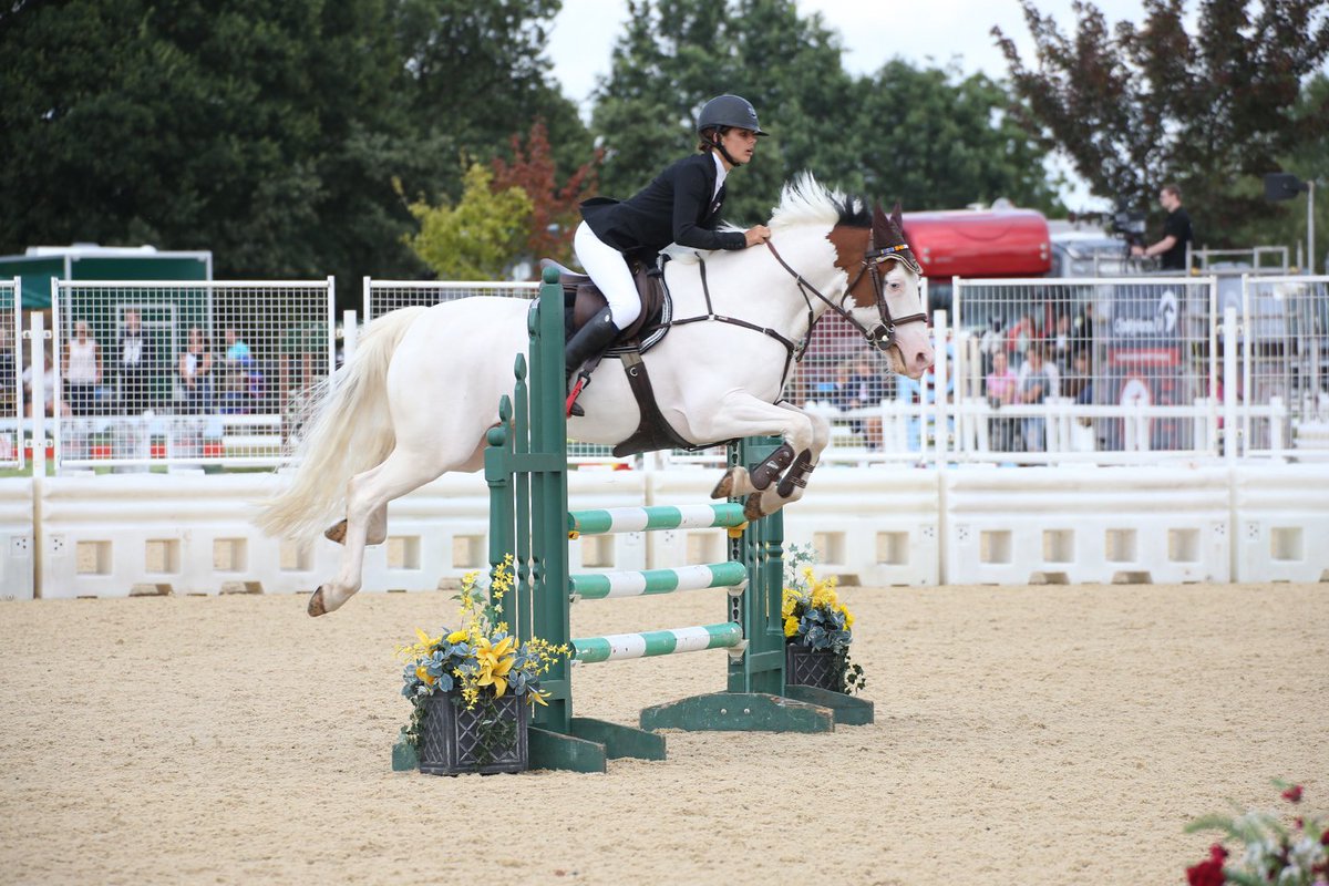 BS National Championships & Stoneleigh Horse Show tweet media