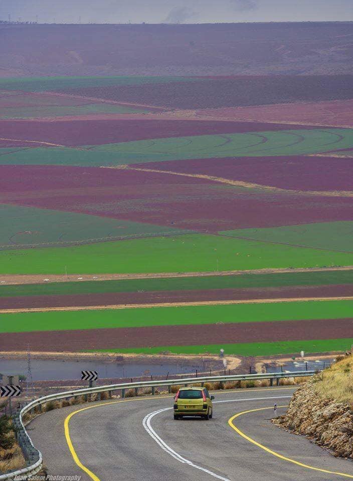 ���� ���� ������ �� ���� ������