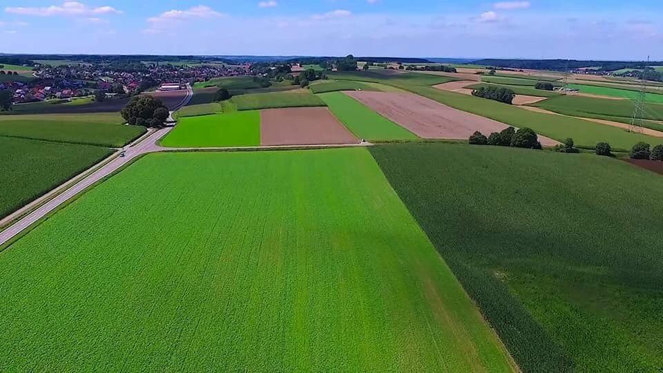 ���� ���� ������ �� ���� ������