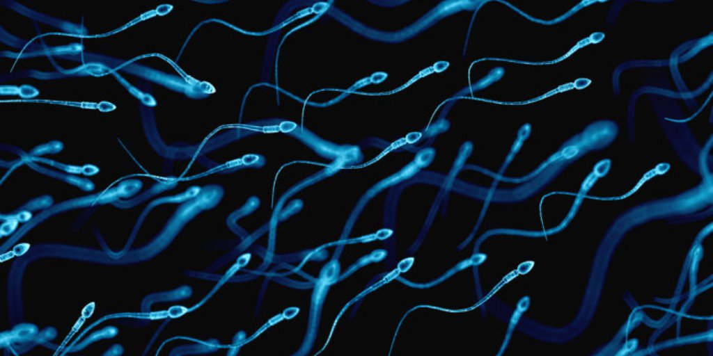 Imperial Medicine tweet media