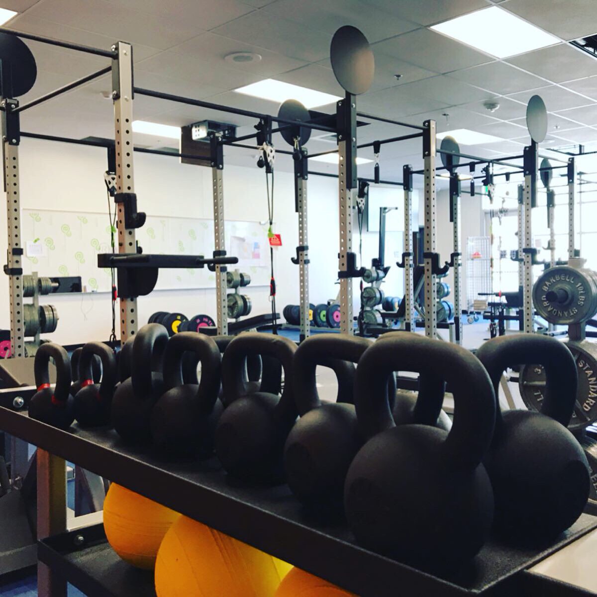 CastaicHoops's tweet image. Let’s go to work 💪

#CastaicHoops