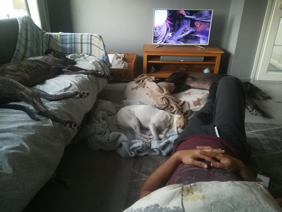 jaynem9974's tweet image. Everyone seems to have passed out🤣#Houndsoftwitter #dogs #roomforonemore