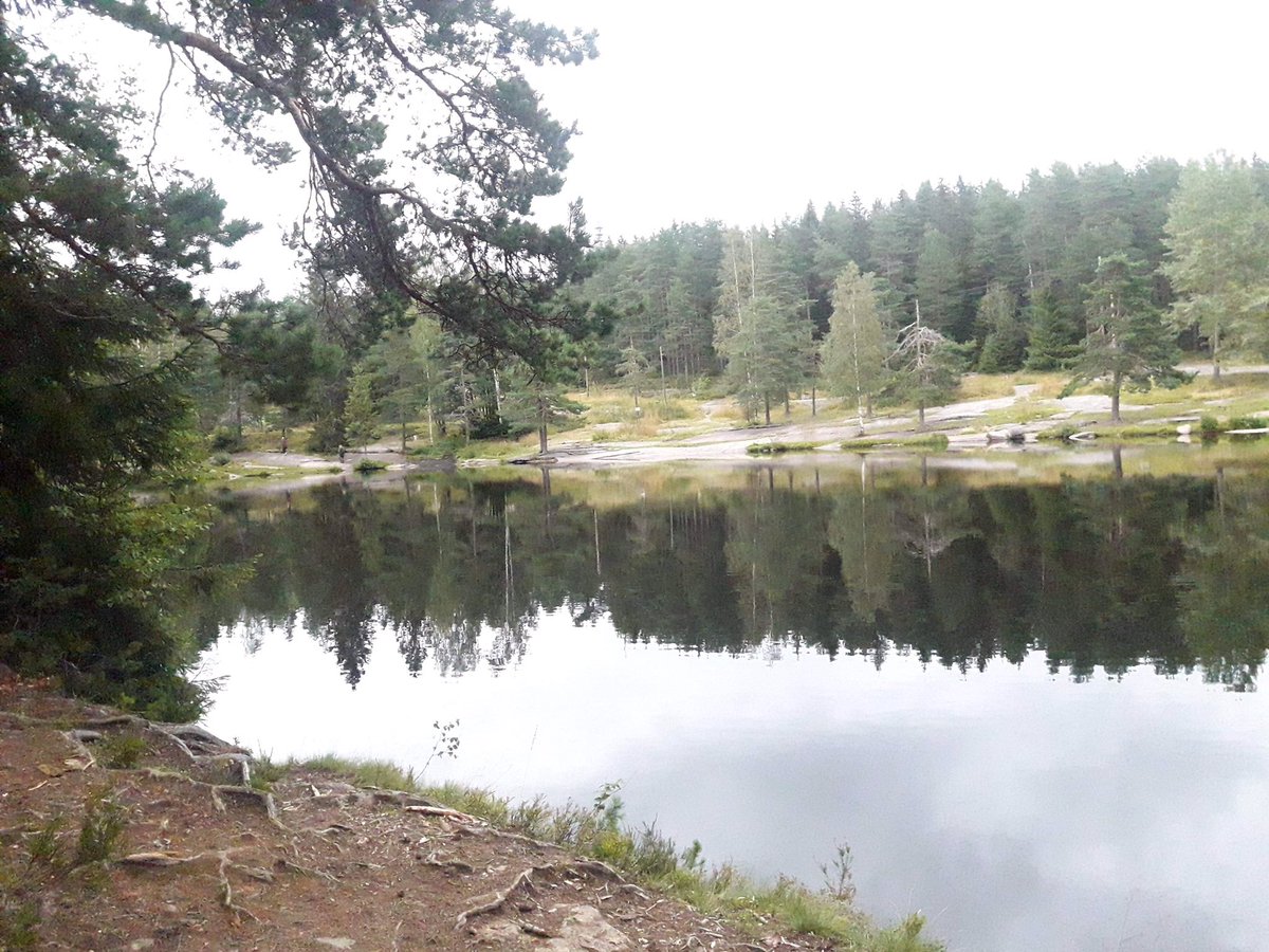 Night Hawk tweet media