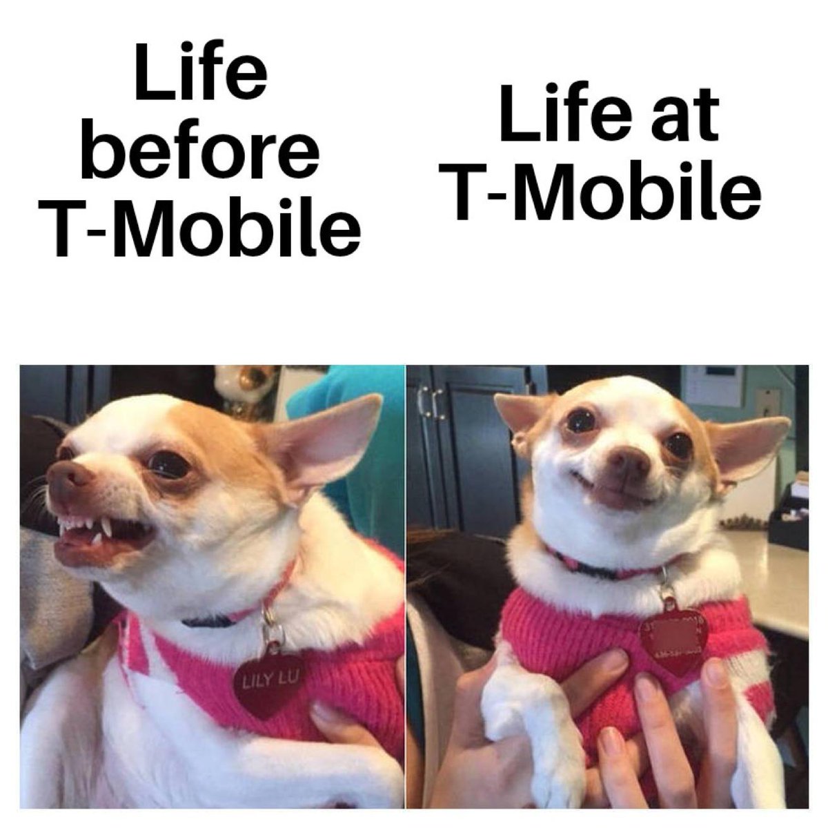 tmobilecareers's tweet image. Night and day.