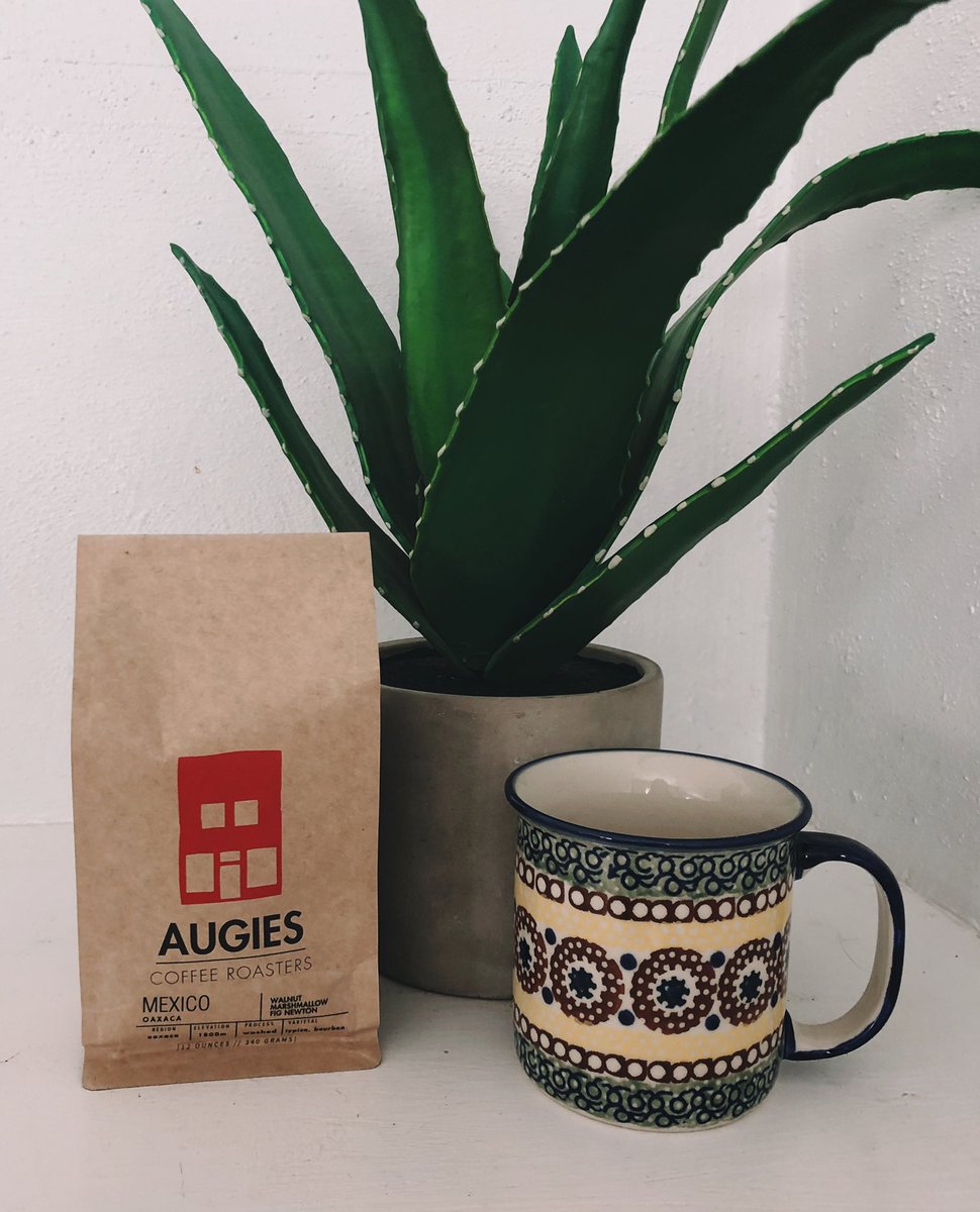 Kaleigh Moore tweet media