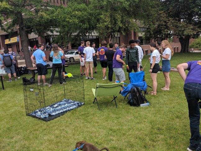 EIA_Delts's tweet photo. Thank you to everyone who came out to our Delt Dogs event! 🐕🐾 https://t.co/6am4BybcgD