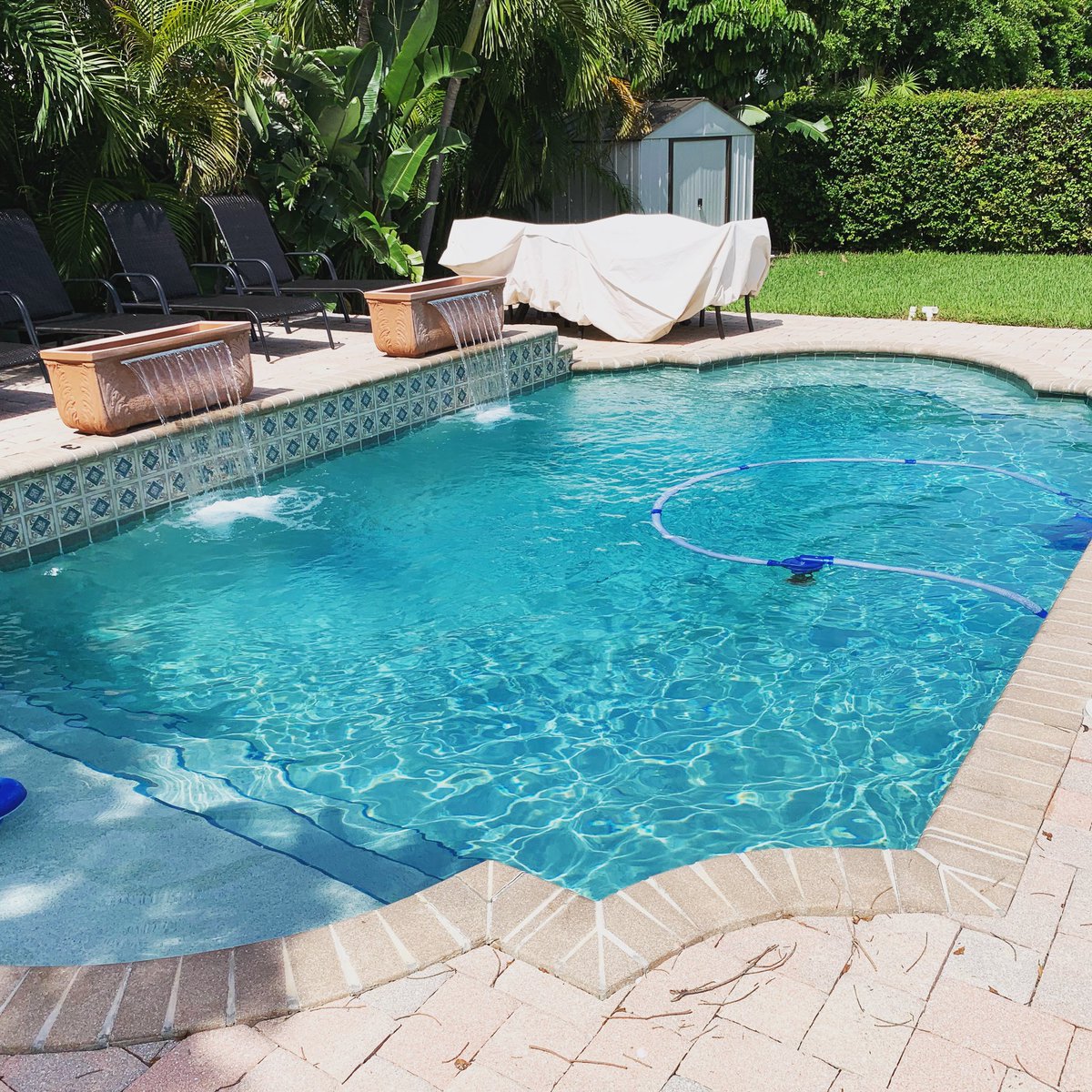 PoolPalm's tweet image. 