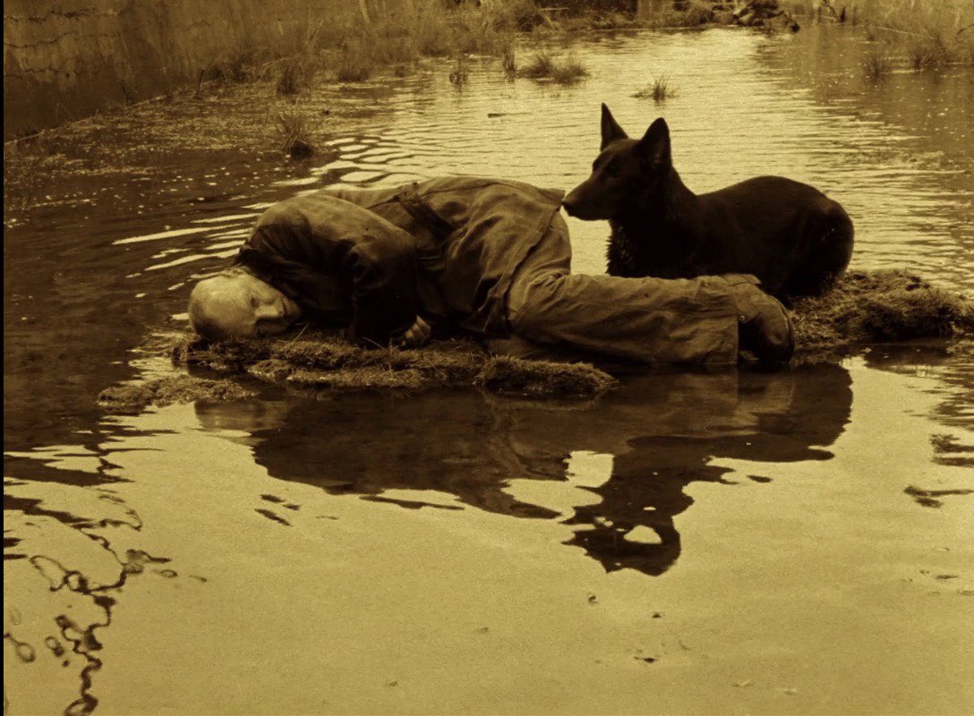 Stalker (Tarkovsky, 1979)