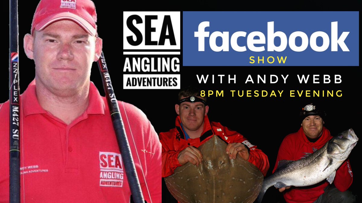 saamedia's tweet photo. Check it out 🎣https://t.co/NCyJgomCdh https://t.co/vdzbQTA0rg