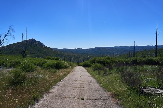 thinkaliker's tweet photo. Road to nowhere // Cuyamaca #2019⠀
//⠀⠀⠀
#nature #hike #backpacking #cuyamaca #statepark #california #sony #sonyalpha #sonyalpha6300 #alpha6300 #a6300 #redditsonyalpha #sonyimages #latergram via Instagram https://t.co/wOOE11kLx6 https://t.co/Nghwip5aVd