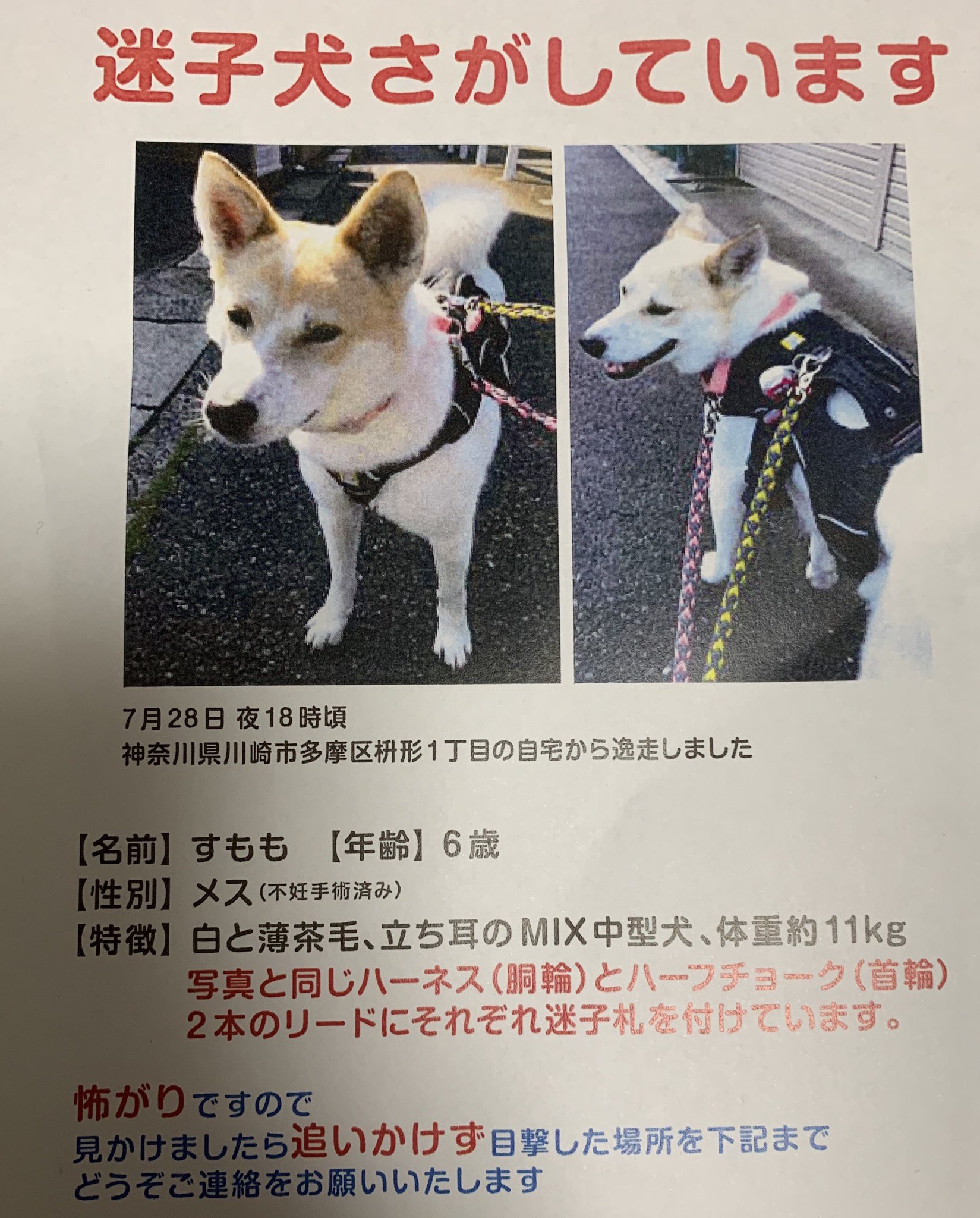Ravikim 再拡散希望 すももちゃんの件で 飼い主様と連絡を取りました 元保護犬でやっと飼い主様と出会えたばかりだったそうです 情報がありましたら下記に連絡お願いします 多摩警察署 区役所衛生課 8 9 金 多摩 麻生
