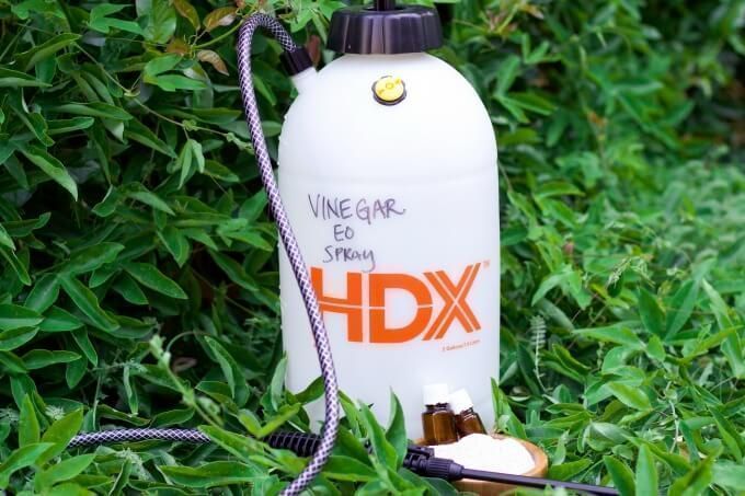 Got pesky garden weeds? Ditch the toxic herbicides and keep your home and garden safe with this easy to make, super powerful Chemical Free Natural Weed Killer. #ecofriendly #nontoxic #gardening via <a href="/Recipes2Nourish/">Recipes to Nourish</a> buff.ly/2jn9p4M