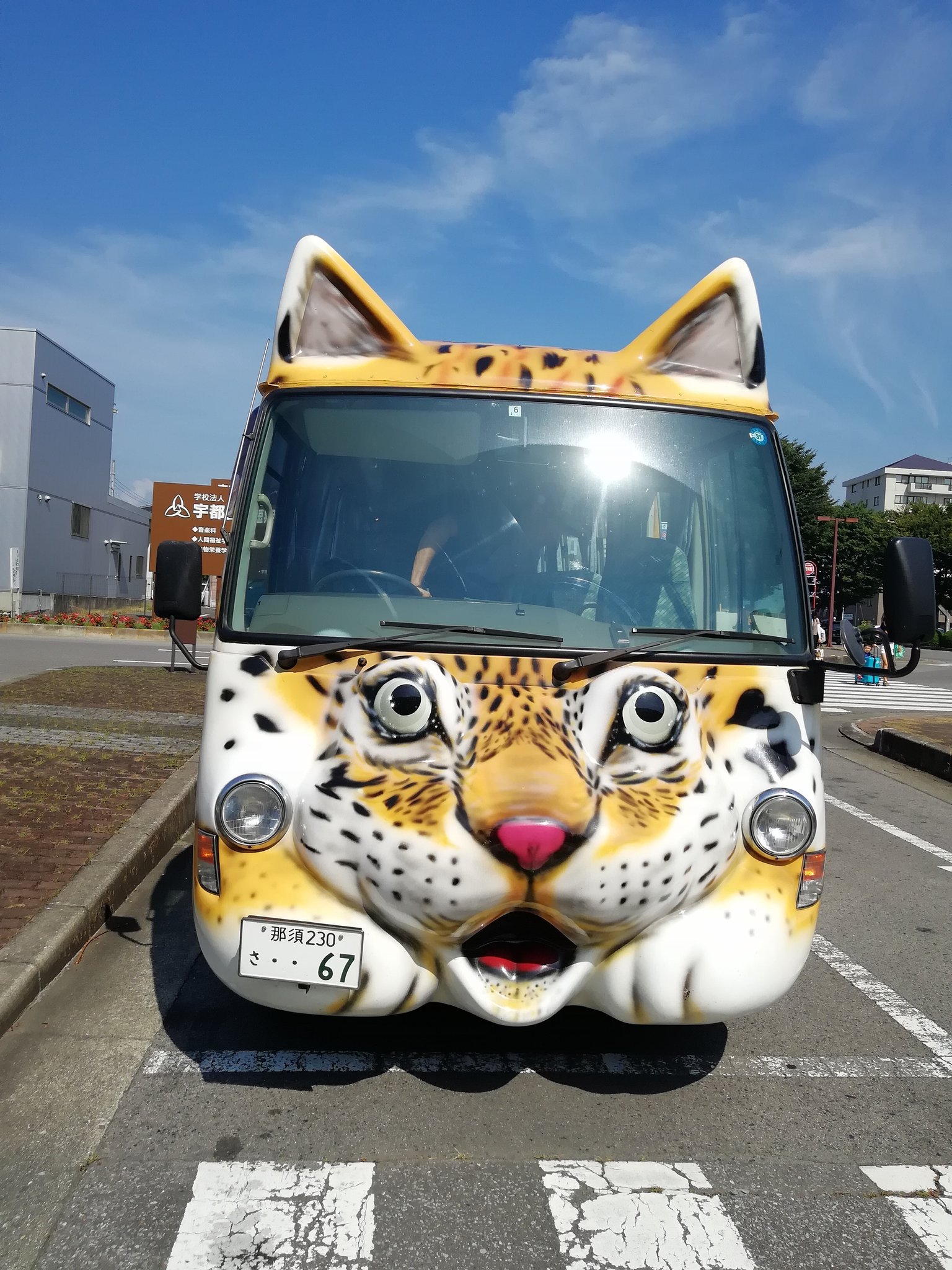 Nakayama にゃんこのバス 那須どうぶつ王国 シャトルバス T Co Goovo8gmr8 Twitter