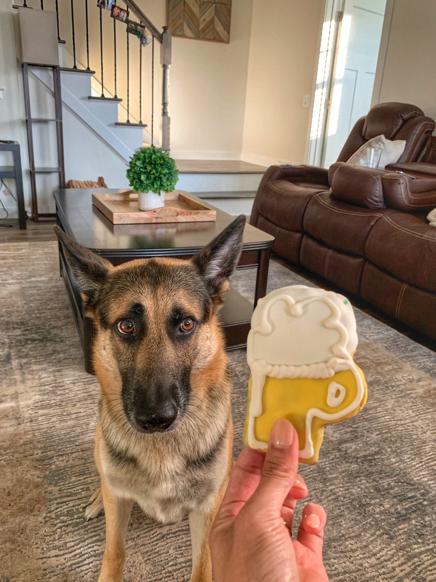 MelindaJane's tweet photo. Happy birthday to my baby boy @DrogoGSD!! #5YearsOld https://t.co/pFuoRX7sXV