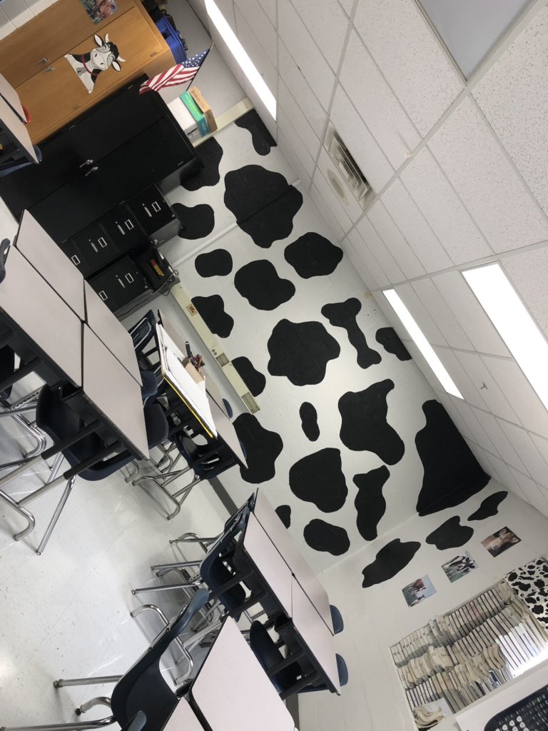 CowculusQueen's tweet photo. Look who came to help me freshen up my #COWculus classroom today. 😍 Getting excited for next week!!!! #ITeachMath #MTBoS https://t.co/3bshfZWG5D