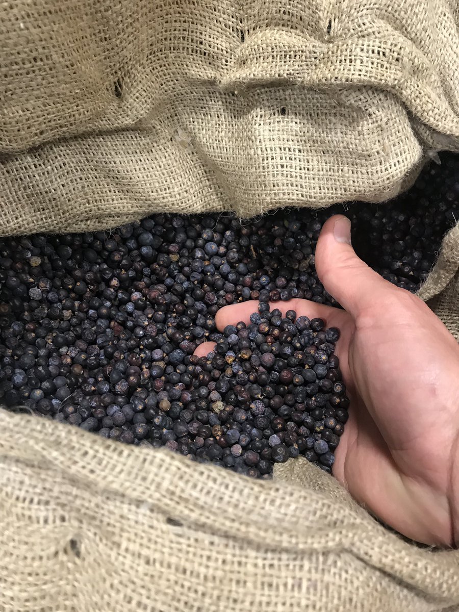 It’s time to make #gin!
#gindistillery #vaspirits #rvadine #distilling