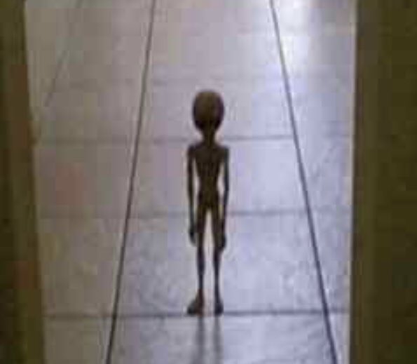 SaraRobatzchi's tweet photo. #boardmasters me at half 11 walking into my parents room to tell them that boardies was cancelled https://t.co/tHCKm1Xf1A
