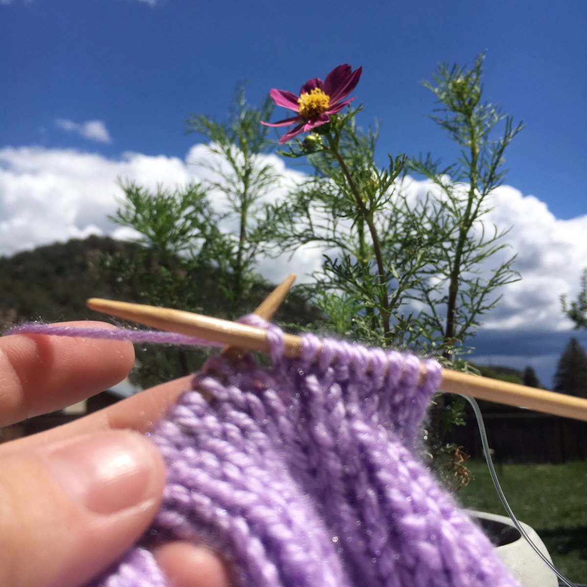 PurlsAndPixels's tweet photo. Squeezing in some outside knitting before the storm gets here. ☔️
#getoutside #knitoutside #colorado https://t.co/Wz8SSUXTP9