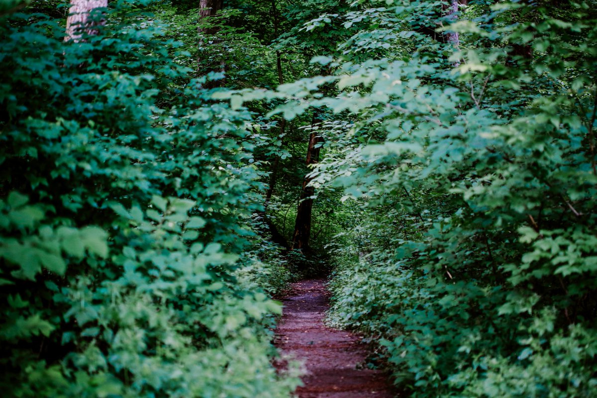 "At some point in life the world’s beauty becomes enough. You don’t need to photograph, paint, or even remember it. It is enough." - Toni Morrison 

📷 by Michelle Johnsen Photography