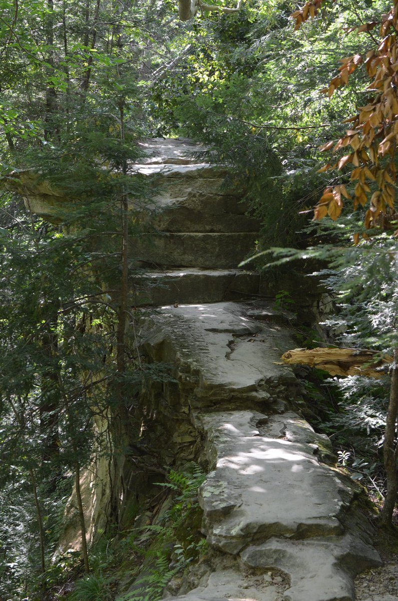 Devil’s Backbone is a unique place in Pine Hills Nature Preserve. The narrow path has sheer cliffs on each side. #hikingindiana