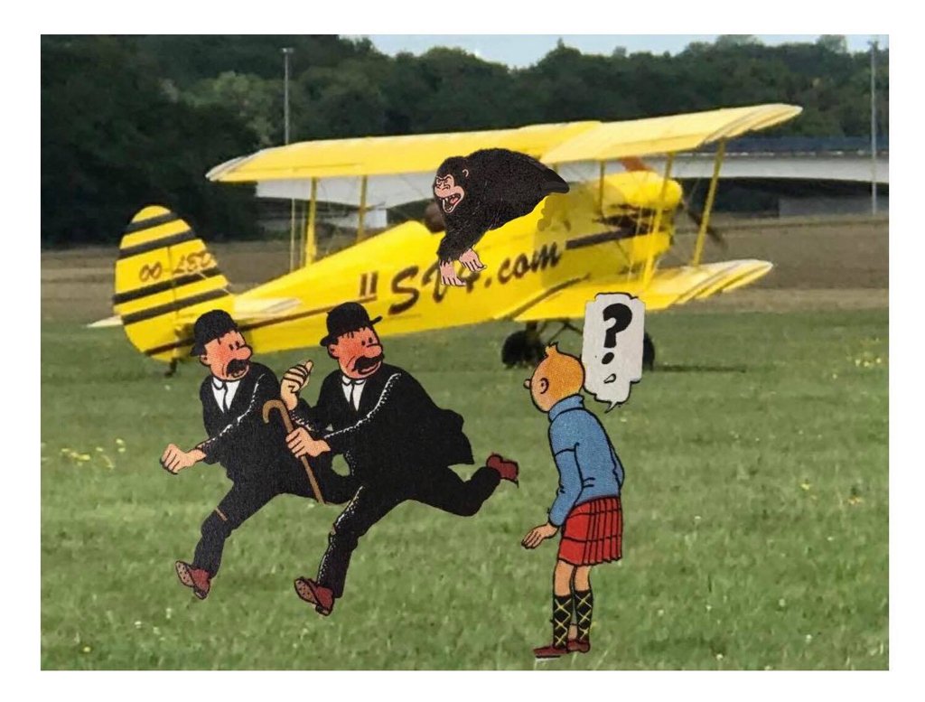 sausalitoferry's tweet photo. Running away from this week's responsibilities like 😨 

#weekendcomefaster #herge #workingfortheweekend #tintinfans #moulinsart #sausalitoferry #thompsonandthomson #adulting https://t.co/0pZCSoByb9