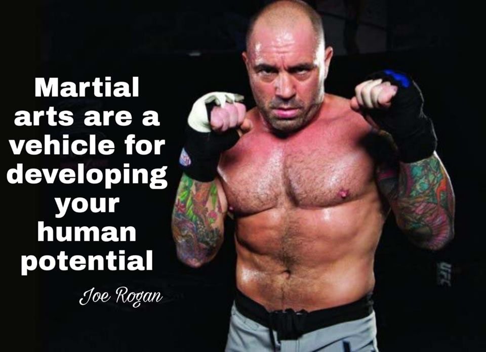 Decentmartial's tweet photo. https://t.co/XOPU9dmsou
#MartialArts #MMA #MMA_Sports_Wears #BJJGi #Wholesale #Manufacturer #BoxingItems https://t.co/nJUGbTchCL