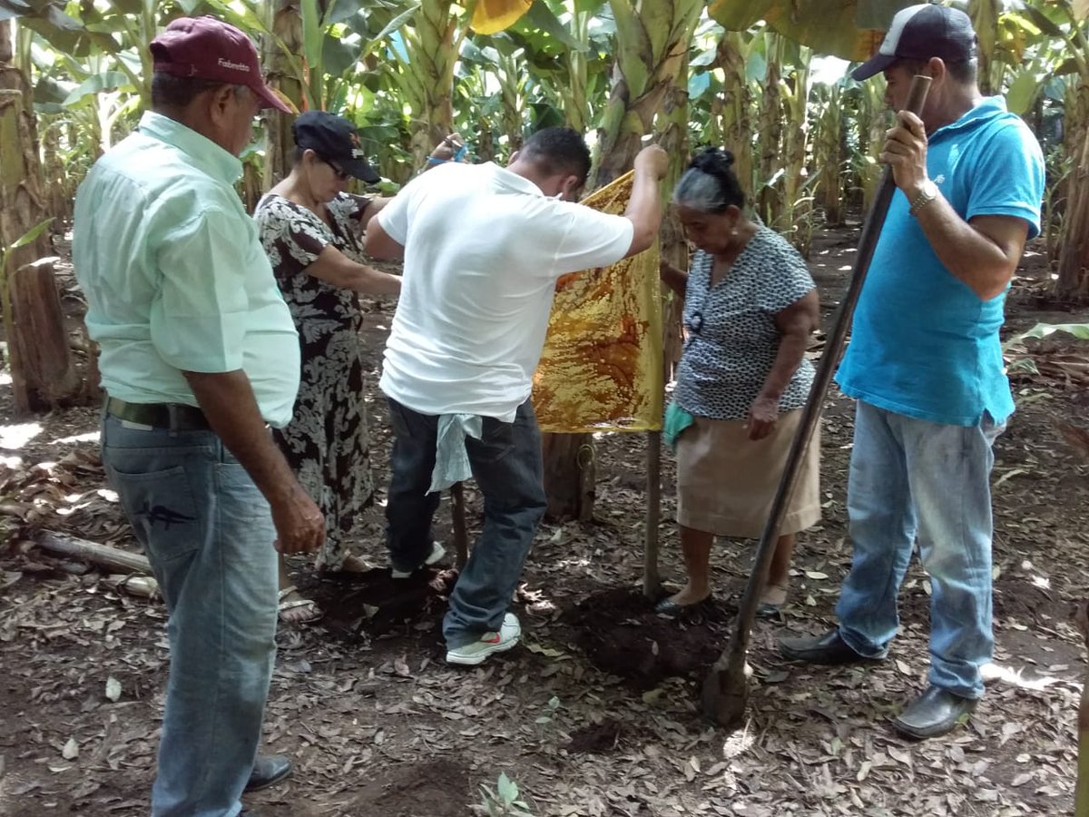 MinEmpren's tweet photo. #Nicaragua40Revolucion 
Productores de la comunidad el Trianon, en Posoltega, Chinandega, adquieren nuevos conocimiento y técnicas para el control de plagas y enfermedades https://t.co/YzZhvJA1ue