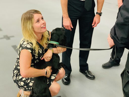 KiMcGuinness's tweet image. Great day meeting officers and staff across @northumbriapol. I enjoyed getting an insight into the varied work that takes place in the force to serve and protect our communities. Visit included brilliant 999 and 101 call handlers, @NPCENGTEAM, @npdogsection, @NPFSU, @npgateshead