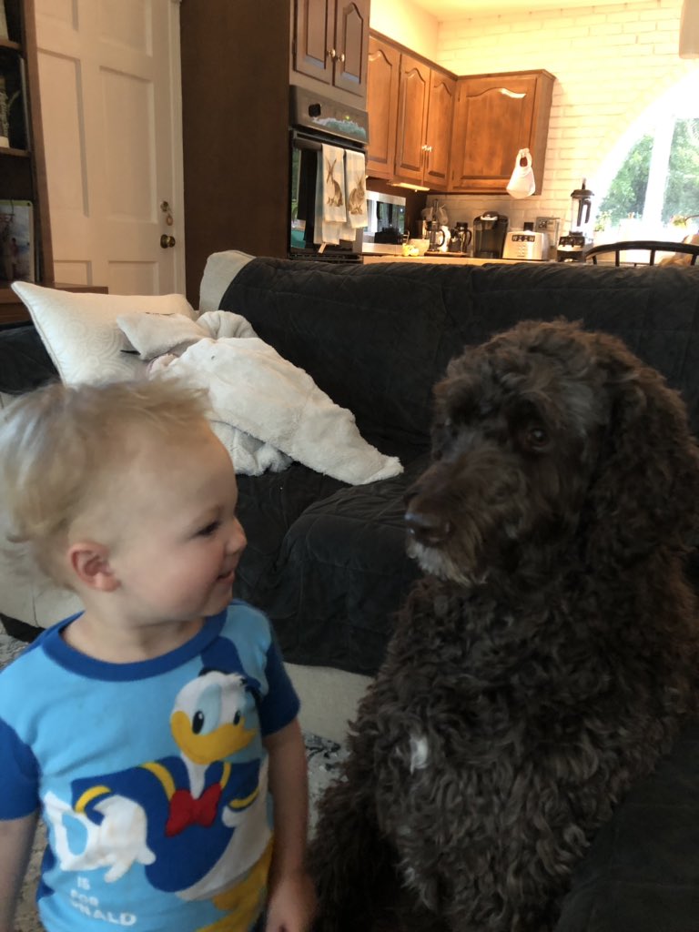 RetirementRisks's tweet photo. I’m moving from my questioning and emotional phase of my day to the thankful part of my day looking for to #dogs and #babies #trendingSomewhere https://t.co/aNWk19rT5A