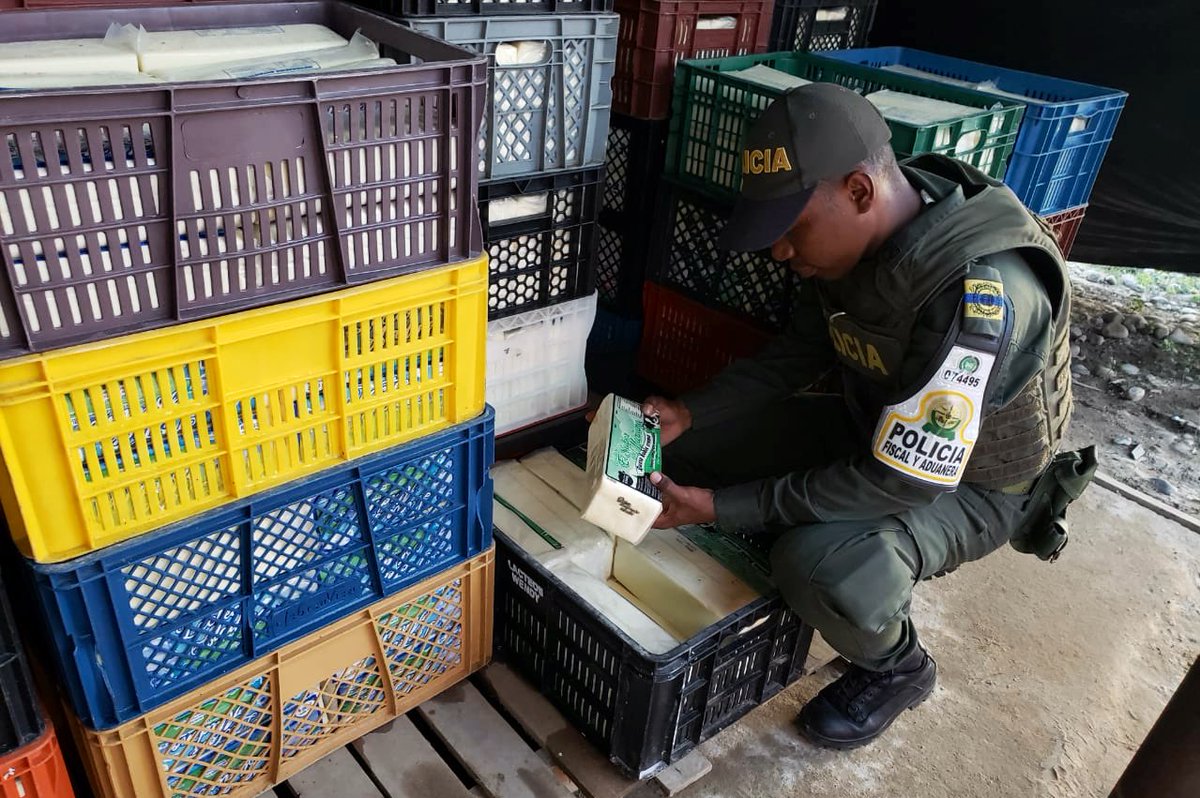 PoliciaAduanera's tweet photo. En #Arauca con la puesta en marcha de @CIIIP24_7 y en acciones conjuntas con @Ejercito_Div8, incautamos 5 toneladas de queso, transportadas sin las medidas fitosanitarias exigidas por @invimacolombia para su legal comercialización. https://t.co/Yb8qlRTBPE