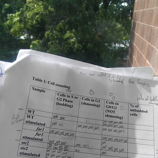 ImanBuilder's tweet photo. Screwed up, handed in 2 late assignments and now 30 mins to final. Not my finest moment.

du'as please. https://t.co/PkJyWDLDRK https://t.co/CAu2OO9dBb