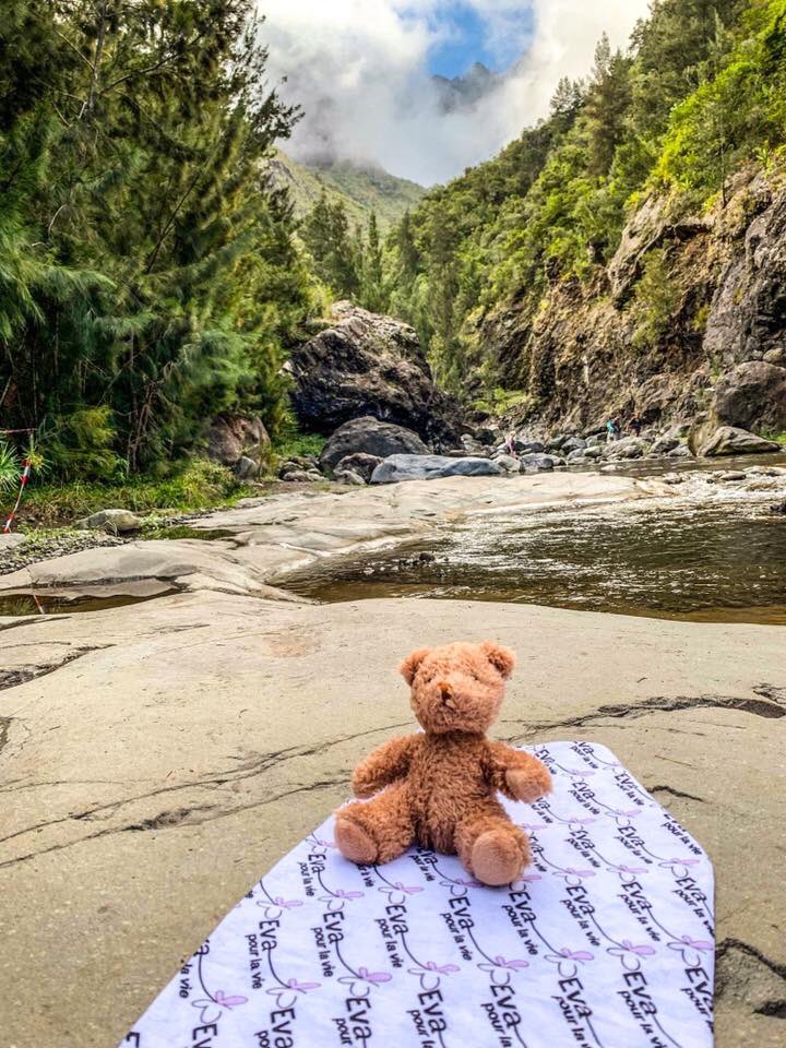 DEvanours's tweet photo. #cartepostale 
Quelques nouvelles d’evanours. Quelques cartes postales. Evanours voyage et relais sans relâche le message de l’association @Evapourlavie #cancerspediatriques. https://t.co/WcJL1rzPoY