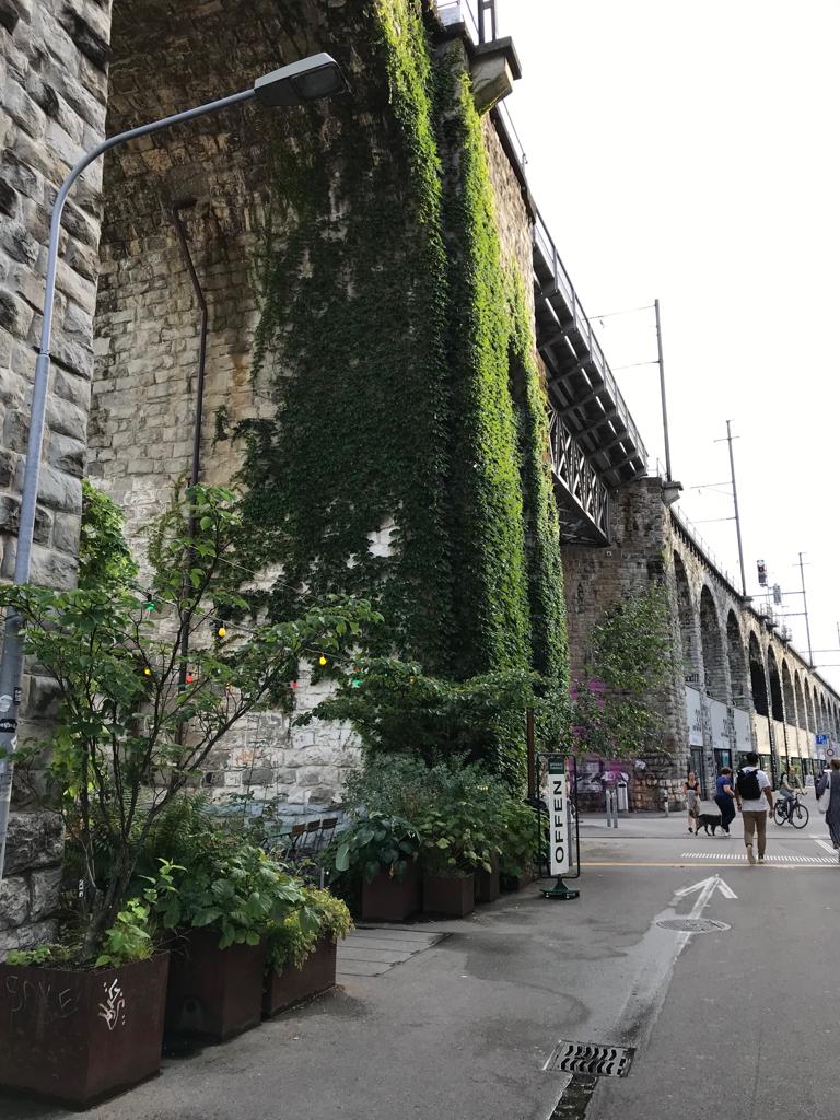 jeudis_ch's tweet photo. Les Jeudis ont fait leur marché en bonnes adresses et autres bons plans. 😊💡C'était ce soir lors du dîner "en terrasse" au Markthalle. ☔😋✏🔭🍴
#jeudis #francophones #jeudisfrancophones #dîner #Zürich #convivialité #bonnehumeur #bonsplans #cuisine #marché #vivelemardi https://t.co/mCixJUIZTx