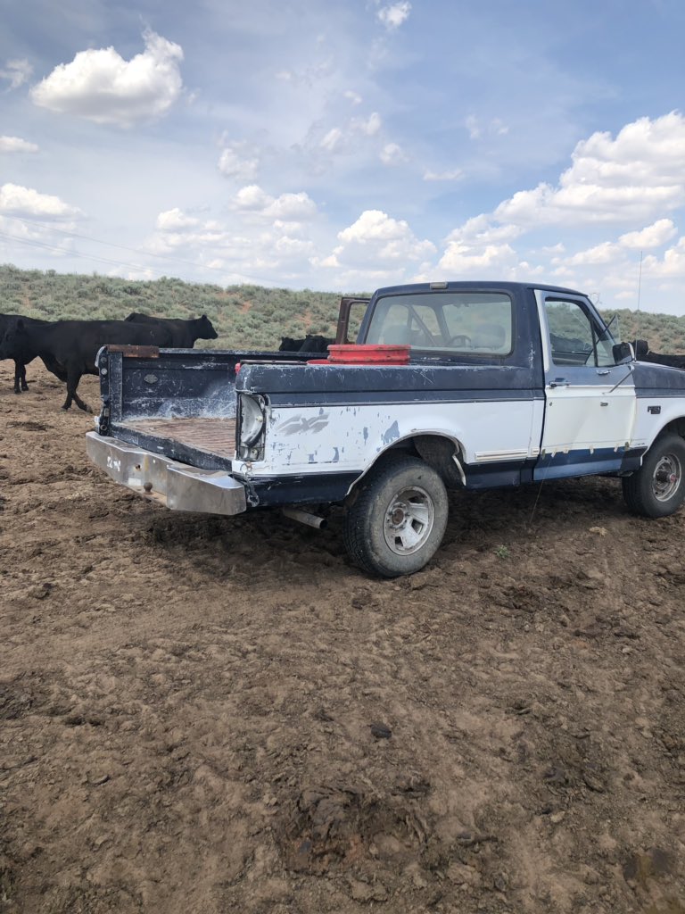 micahope21's tweet photo. Update: we are now stranded in the pasture  with a dead pickup and my grandad won’t answer his phone👍🏼 https://t.co/wAGyNtv2bt