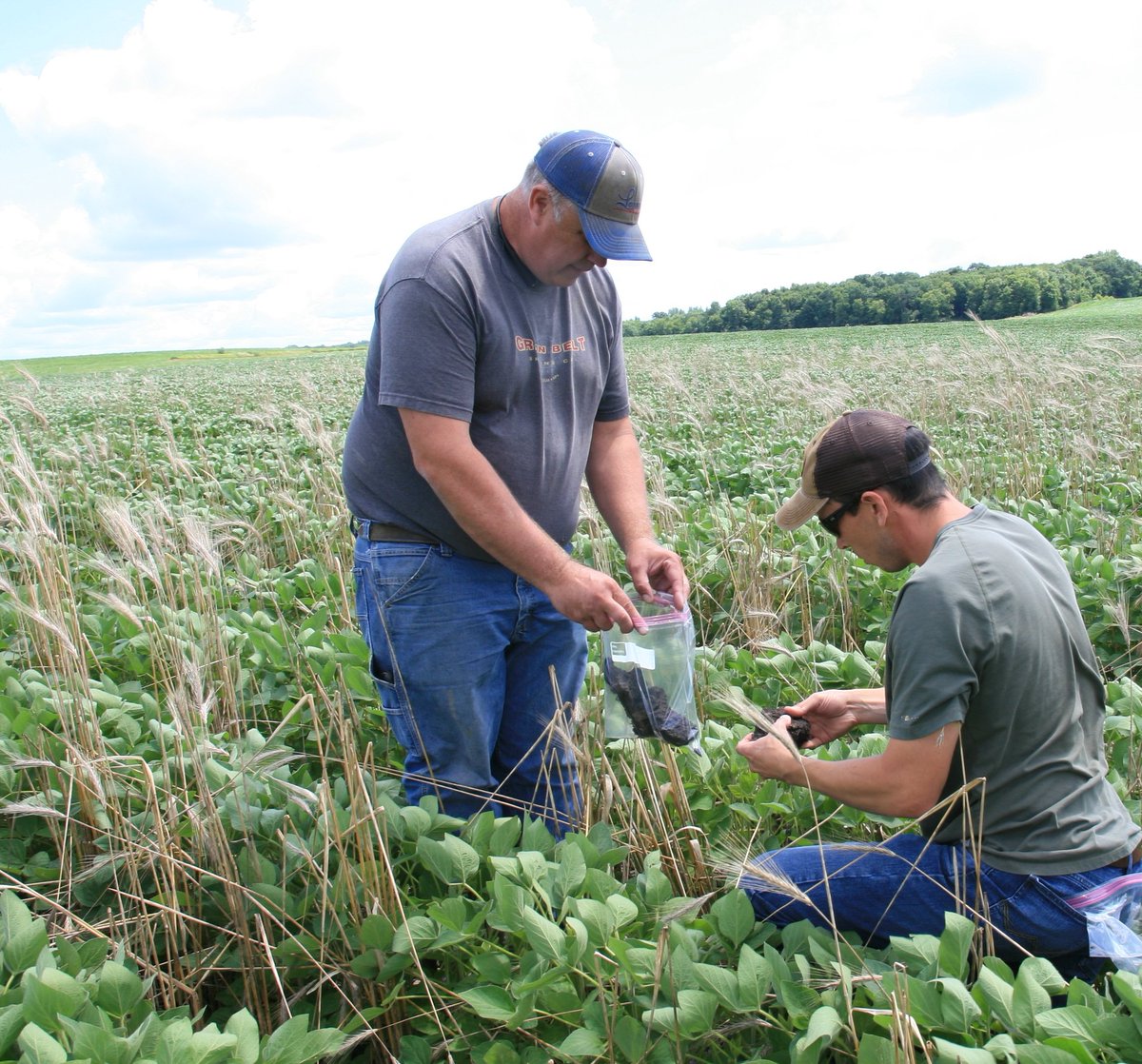 MnPCA's tweet photo. The #MNriver is facing a major sediment pollution challenge, and farmers like Greg Entinger have answered the call. Find out how Greg is making his cropland both more water friendly and more profitable. https://t.co/qAfjpqbhUk https://t.co/N4bcoiCYLm