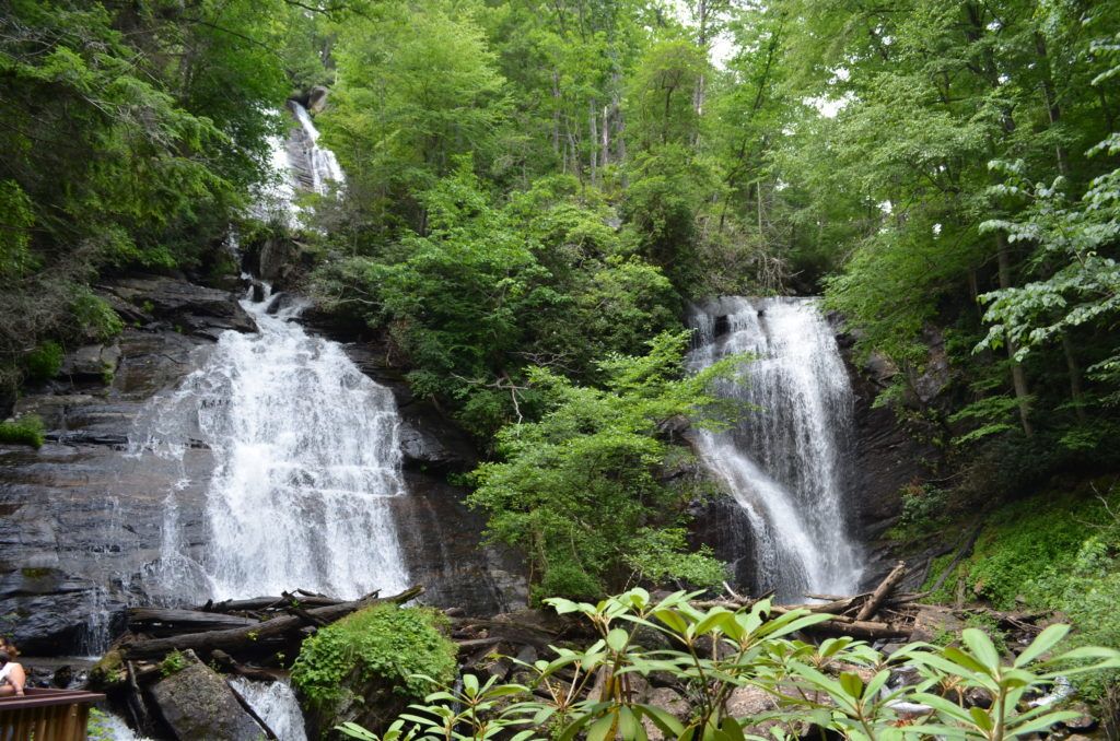 LakeLanier.com tweet media