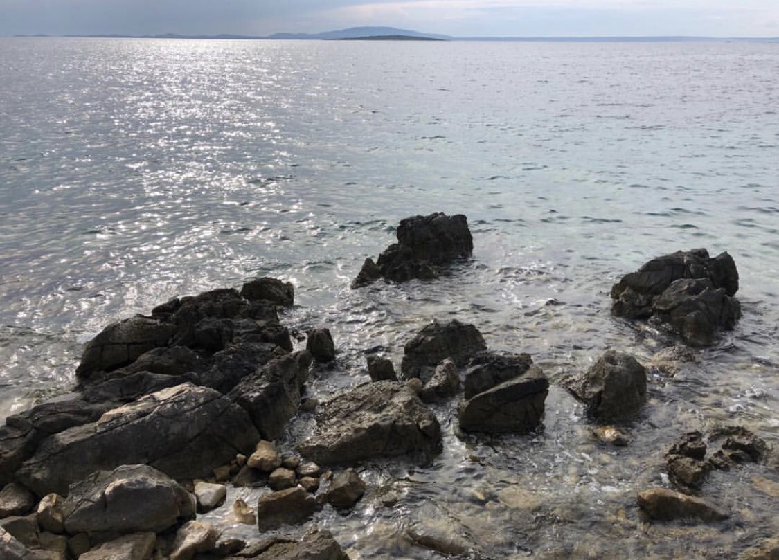 tanjaveutner's tweet photo. Aussicht auf das schöne Meer.
#taveu #tanjaveutner #tanjaveutnerphotography #view #travelling #day #reisen #goodday #croatia #holiday #more #iphonex #iphonephotography #picoftheday #travel #photooftheday #happy #awesome #lucky #instagood #facebook #feelinggood #photography #meer https://t.co/aqis4xeq9R