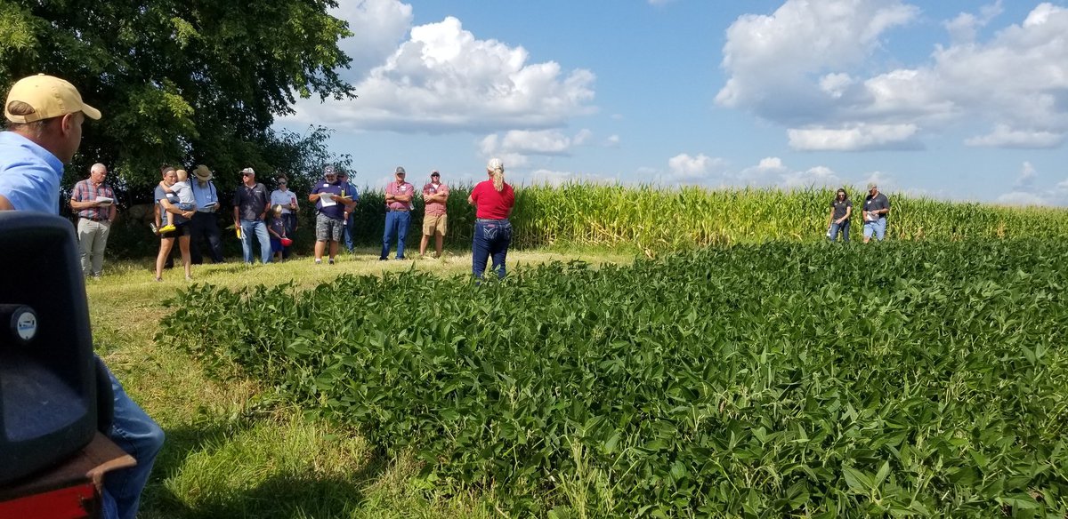 Iowa Seed Corn tweet media