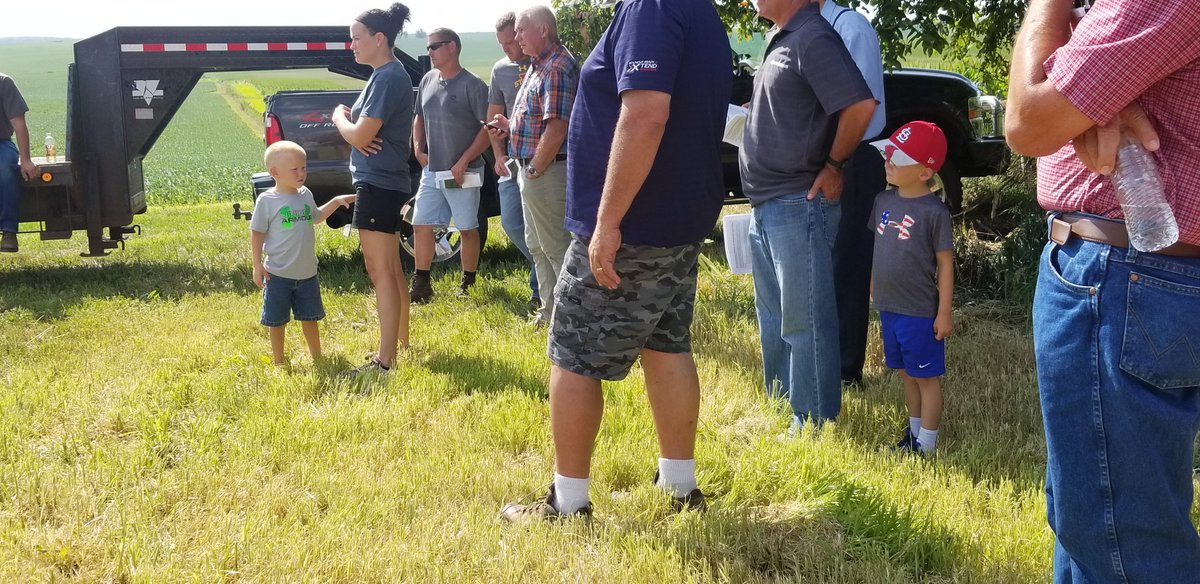 Iowa Seed Corn tweet media