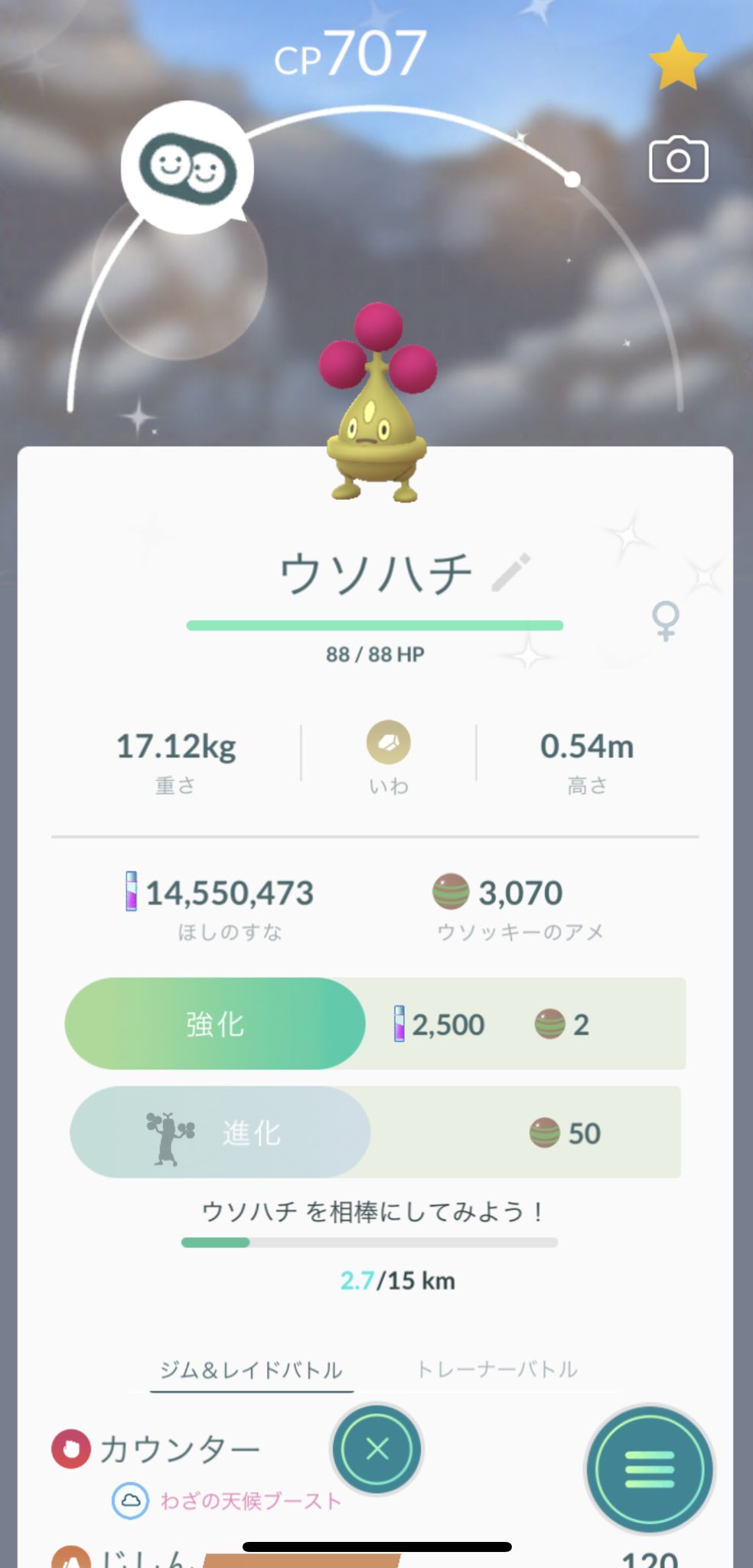 色違いウソハチ Twitter Search Twitter