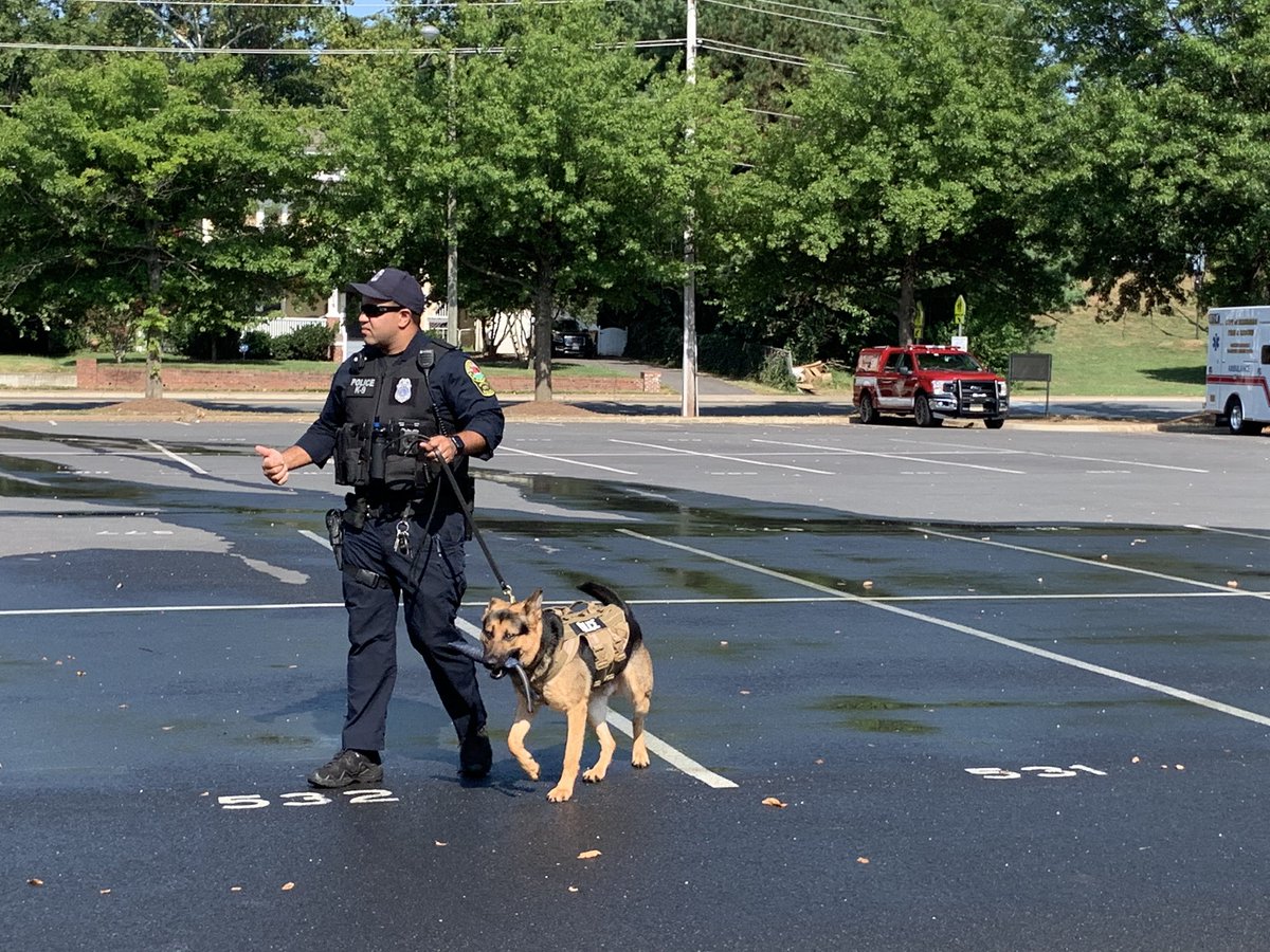 Bob Nitowski tweet media