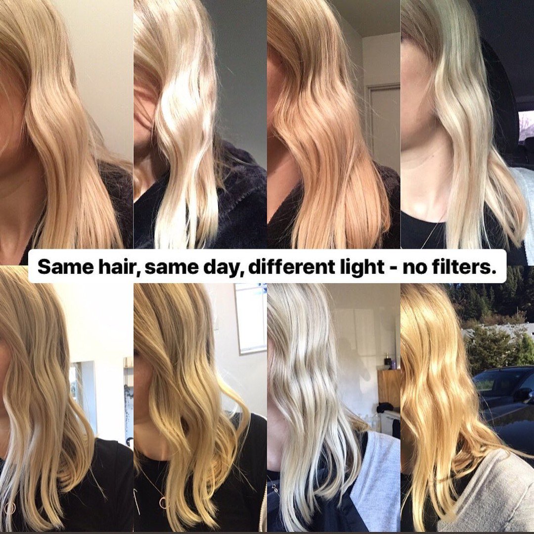 WellaEducation's tweet image. These photos were taken the on SAME DAY! 😱 Stylist @hairbycharlotte.phs, who considers herself a golden blonde, photographed her hair in different light throughout the day to prove that pictures don't always capture your true color. #HairdresserProblems
.
#wellalife #wellahair
