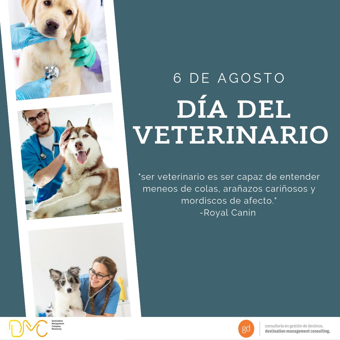 DMC Monterrey tweet media